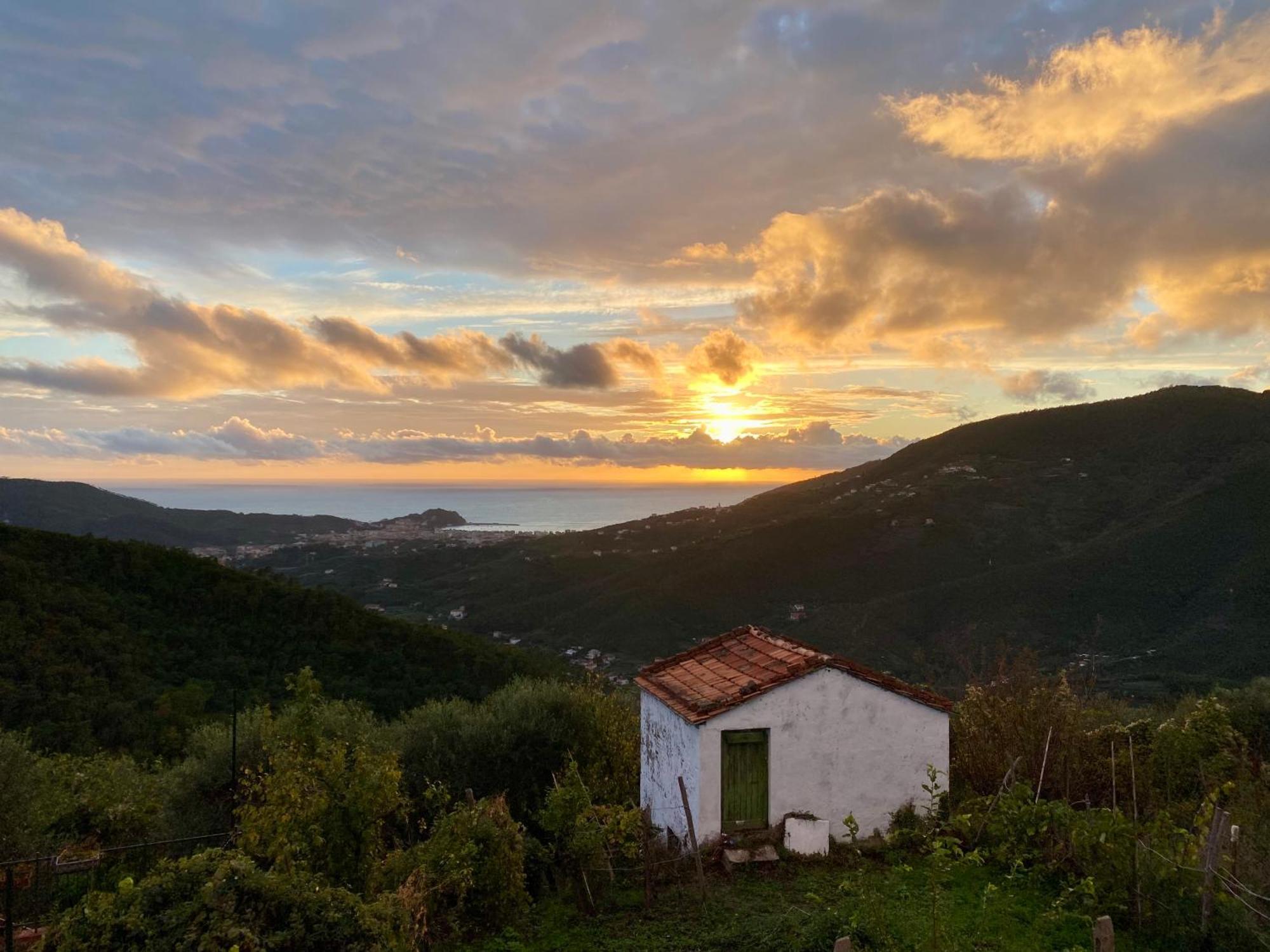 La Collina Sul Mare - Casa Vacanze Sestri Levante Eksteriør billede
